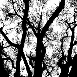 Ambiance for Summer Ballads - Good Mood Jazz