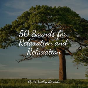 50 Sounds for Relaxation and Relaxation - Yoga Trainer