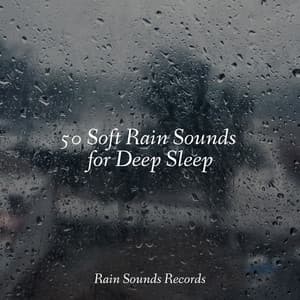 50 Soft Rain Sounds for Deep Sleep - Lightning, Thunder and Rain Storm