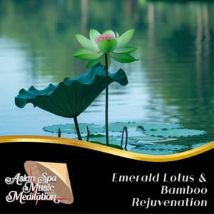 Emerald Lotus & Bamboo Rejuvenation - Asian Spa Music Meditation
