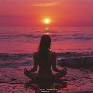 Sunset Tranquility Serenade - Om Nama Shiva