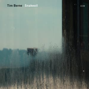 Snakeoil - Tim Berne