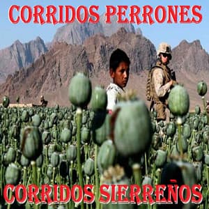 Corridos Sierreños - Corridos Perrones