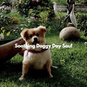 Soothing Doggy Day Soul - Música de Trabajo Ambiente