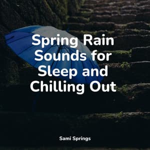 Spring Rain Sounds for Sleep and Chilling Out - Brain Study Music Guys