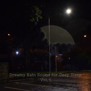 Dreamy Rain Sound for Deep Sleep Vol. 1 - Relaxing Nature Recordings