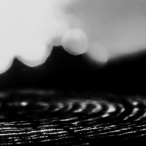 Music for Organ - Phill Niblock