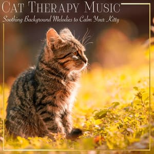 Cat Therapy Music: Soothing Background Melodies to Calm Your Kitty - RelaxMyCat