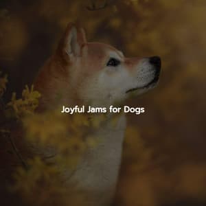 Joyful Jams for Dogs - Light Office Background Music