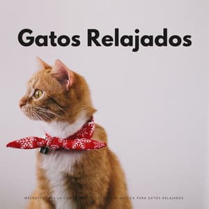 Melodías Para La Comodidad De Los Gatos: Música Para Gatos Relajados - Música para Desayuno