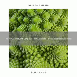 2021 New: The Minute The Storm Composes Tunes Dedicated To Your Deep Sleep And Relax - White Noise Sound Garden