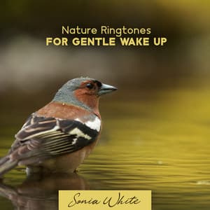 Nature Ringtones for Gentle Wake Up: Calming Water, Singing Birds & Rain - Sonia White