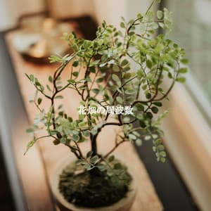 花畑の周波数 - French Cafe Jazz