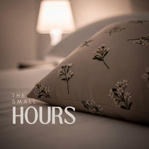 The Small Hours - Snoring Meme