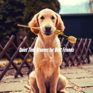 Quiet Time Grooves for Best Friends - Dog Music Radio