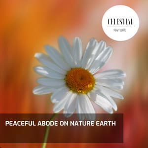 Peaceful Abode on Nature Earth - Nature Radiance
