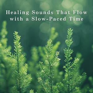 Healing Sounds That Flow with a Slow-Paced Time - Relax α Wave