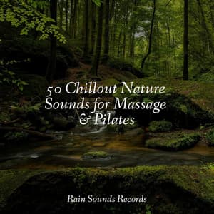 50 Chillout Nature Sounds for Massage & Pilates - Pro Sound Effects Library