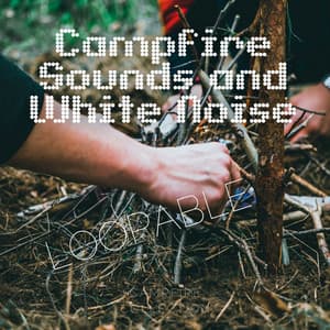 Campfire Sounds and White Noise, Loopable - Mother Nature Sound FX