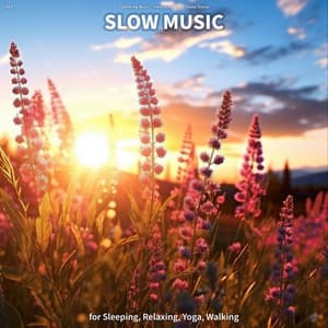#01 Slow Music for Sleeping, Relaxing, Yoga, Walking - Soothing Music