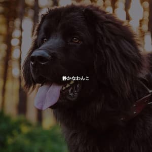 静かなわんこ - Música para Centros Comerciales