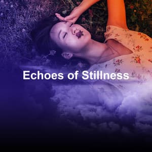 Echoes of Stillness - Sleep Music: Native American Flute