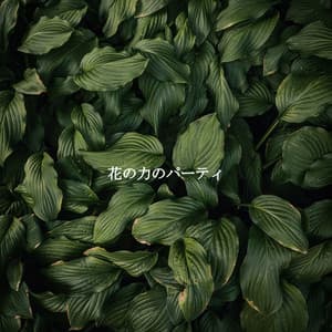 花の力のパーティ - Cafe Jazz Tokyo