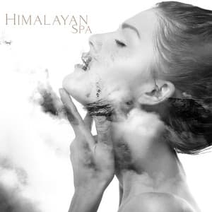 Himalayan Spa: Enchanted Healing Ambient for Aromatherapy Massages - Massage Therapy Guru