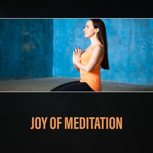 Joy of Meditation – Healing Mindfulness, Soothing Zen Music, Mantra for Happiness - Healing Touch Universe