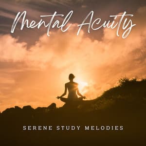 Mental Acuity: Music for Study and Focus - Stress Relief Helper