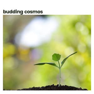 Budding Cosmos - Life Sounds Nature