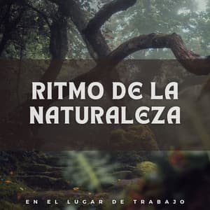Ritmo de la Naturaleza en el Lugar de Trabajo - NatuREM