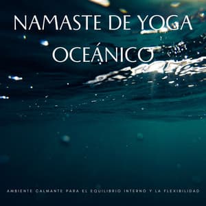 Namaste De Yoga Oceánico: Ambiente Calmante Para El Equilibrio Interno Y La Flexibilidad - Océanos Lunares