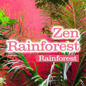 Zen Rainforest - Rainforest