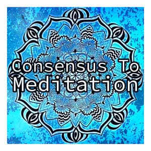 Consensus To Meditation - Zen Nation