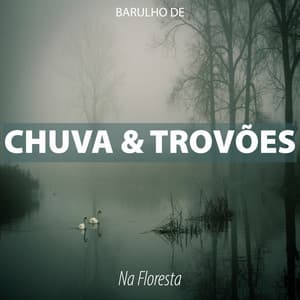 Barulho de Chuva e Trovões na Floresta - Epic Soundscapes