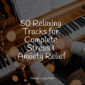 Sounds for Work and Study | 50 Piano Melodies - Piano Music for Work