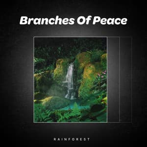 Branches Of Peace - Rainforest