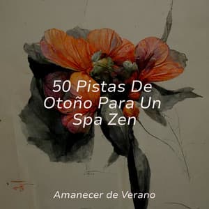 50 Pistas De Otoño Para Un Spa Zen - Guided Meditation