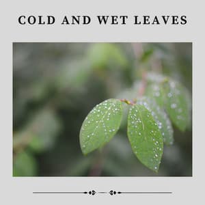 Cold and Wet Leaves - Heavy Rain Sounds