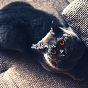 遊びと楽しみ - Cafe Smooth Jazz Radio