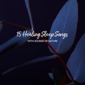 15 Healing Sleep Songs with Sounds of Nature: 15 Healing Sleeping Songs to Help You Relax, New Age Deep Sleep Music for Relaxation, Meditation, Massage, Yoga, Reiki and Spa Music to Sleep to with Natural White Noise and Sleep Music, Sleep and Meditate. - Sleep & Dream Music Academy