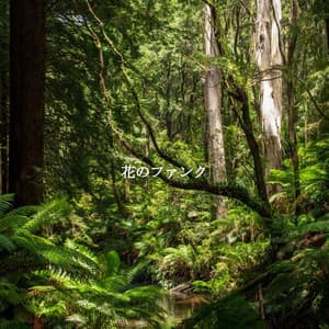 花のファンク - Bossa Lounge Deluxe