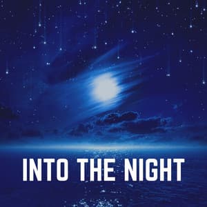 Into the Night - Binaural Landscapes