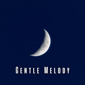 Gentle Melody: Binaural Sleep Symphonies - Binaural Beats Sleep Tones