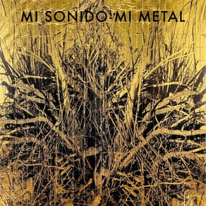 Mi Sonido, Mi Metal - Jorge Pardo