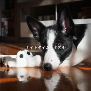 ナイトタイム・ナズル - Easy Listening Instrumental Music