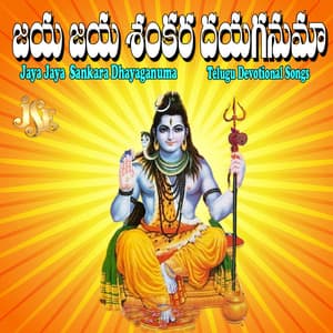 Jaya Jaya Sankara Dhayaganuma - Bhandhavi