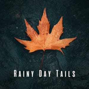 Rainy Day Tails: Chill Music for Pets and Ocean Ambience - Beach Wave Explosion