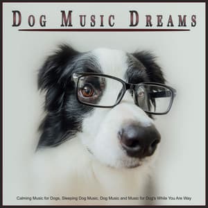 Dog Music Dreams: Calming Music for Dogs, Sleeping Dog Music, Dog Music and Music for Dog's While You Are Way - Sleeping Music For Dogs